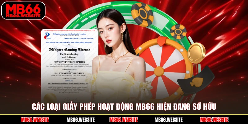 Các loại giấy phép hoạt động MB66 hiện đang sở hữu