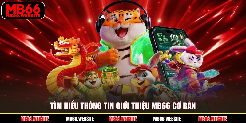 Tìm hiểu thông tin giới thiệu MB66 cơ bản